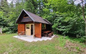 Glamping Fikfak
